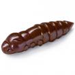 Pupa 1.5